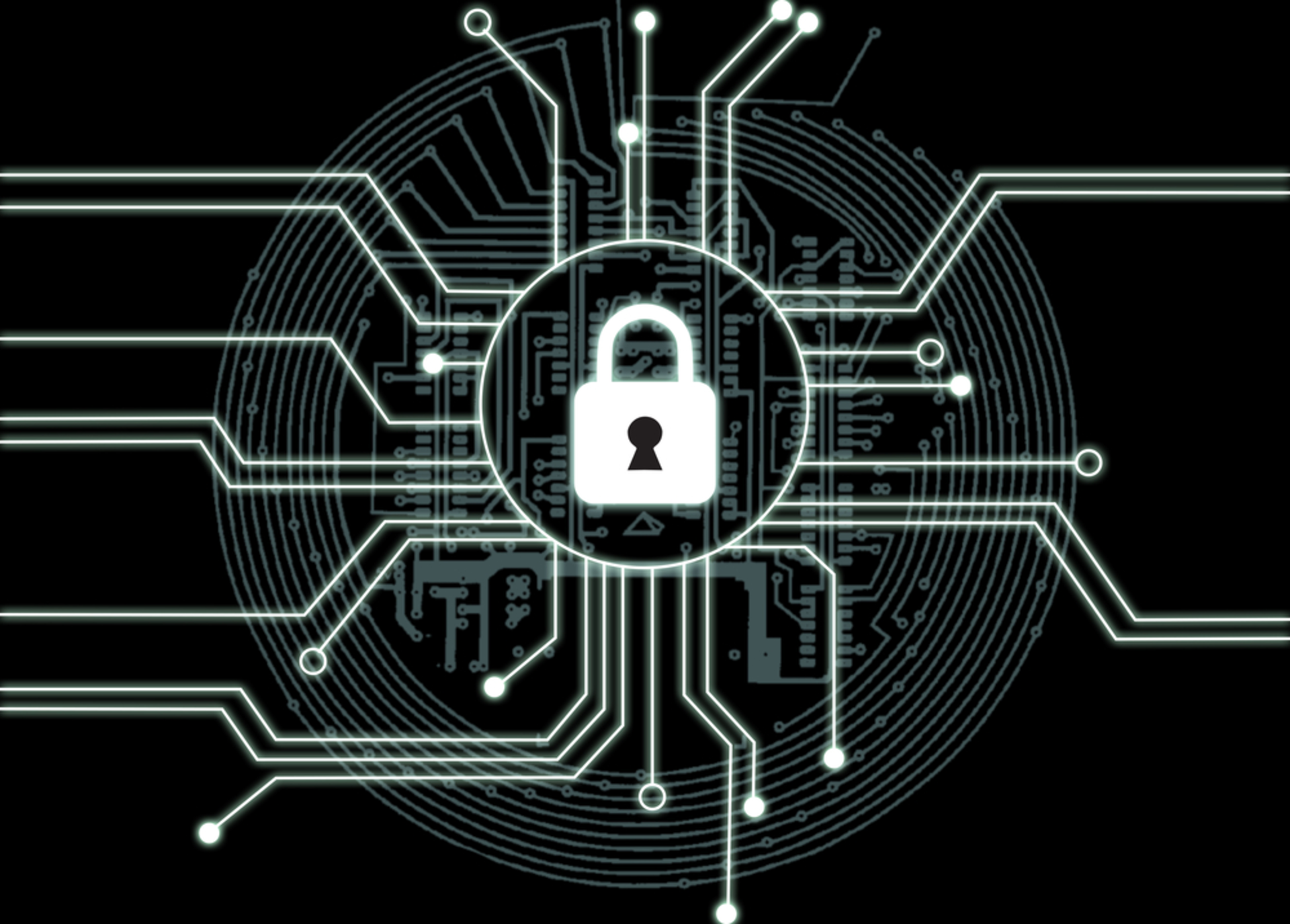 Shutterstock 592666295