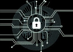 Shutterstock 592666295 Shutterstock 592666295