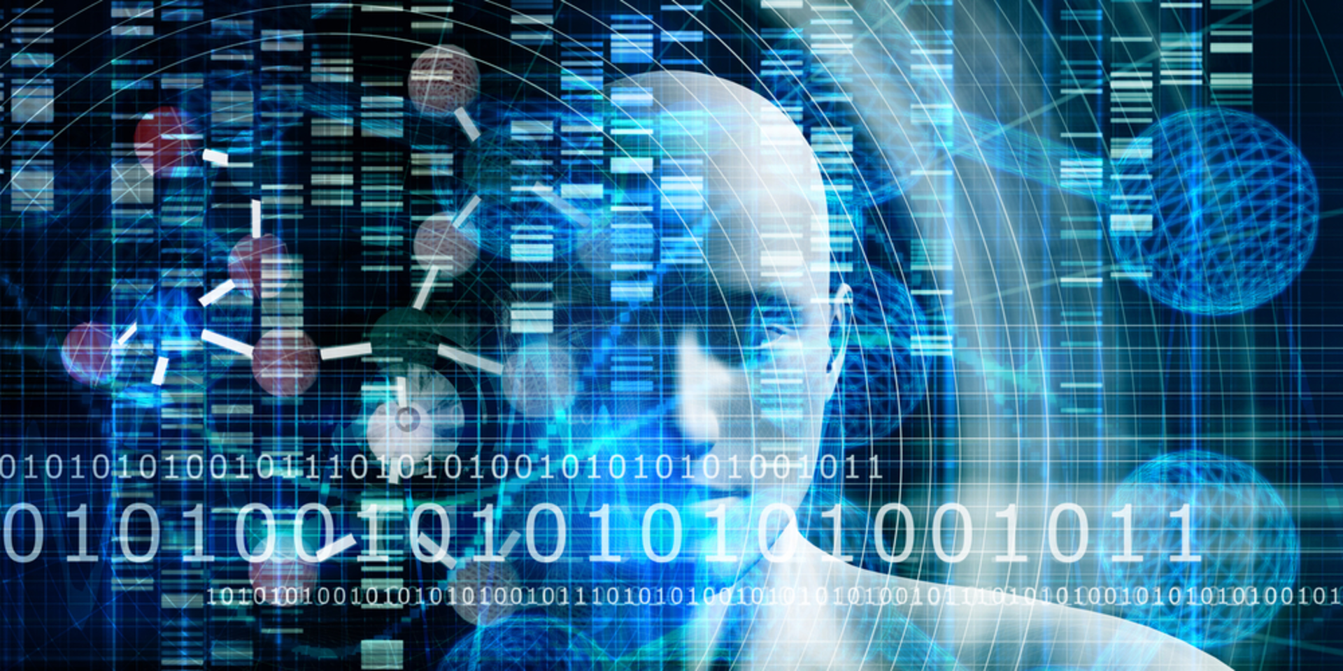 Shutterstock 622526735