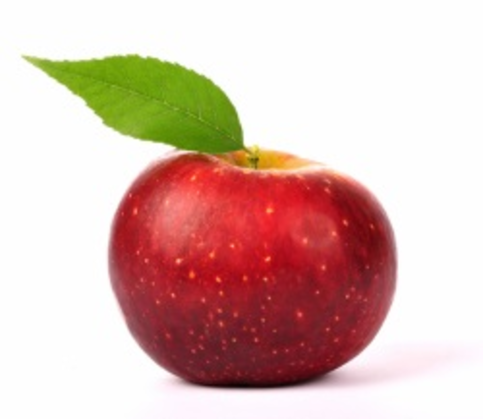 Apple Shutterstock 341140436 Smaller
