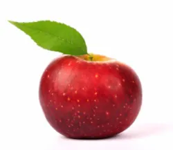 Apple Shutterstock 341140436 Smaller Apple Shutterstock 341140436 Smaller