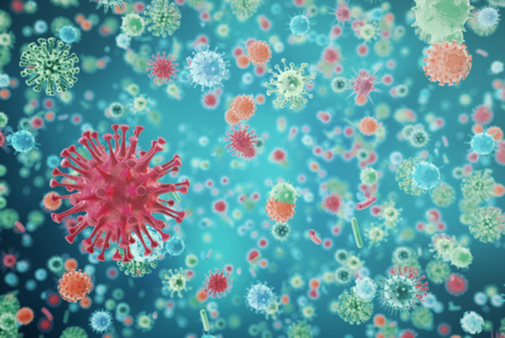 Diseaseviral Shutterstock Smaller559007341