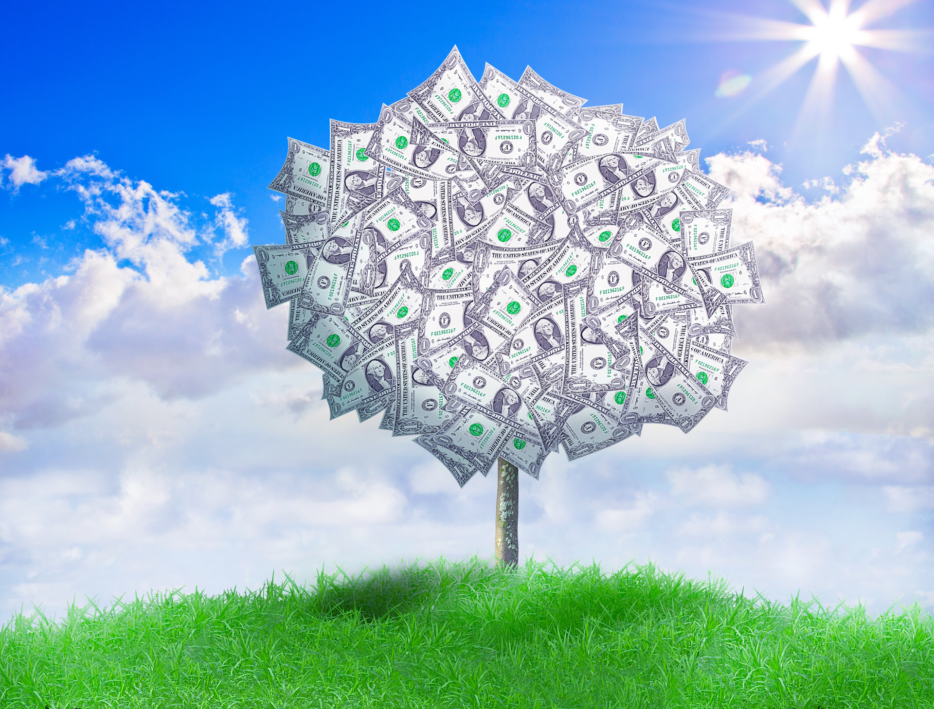 Revenue Cycle Mgmt Sr Image