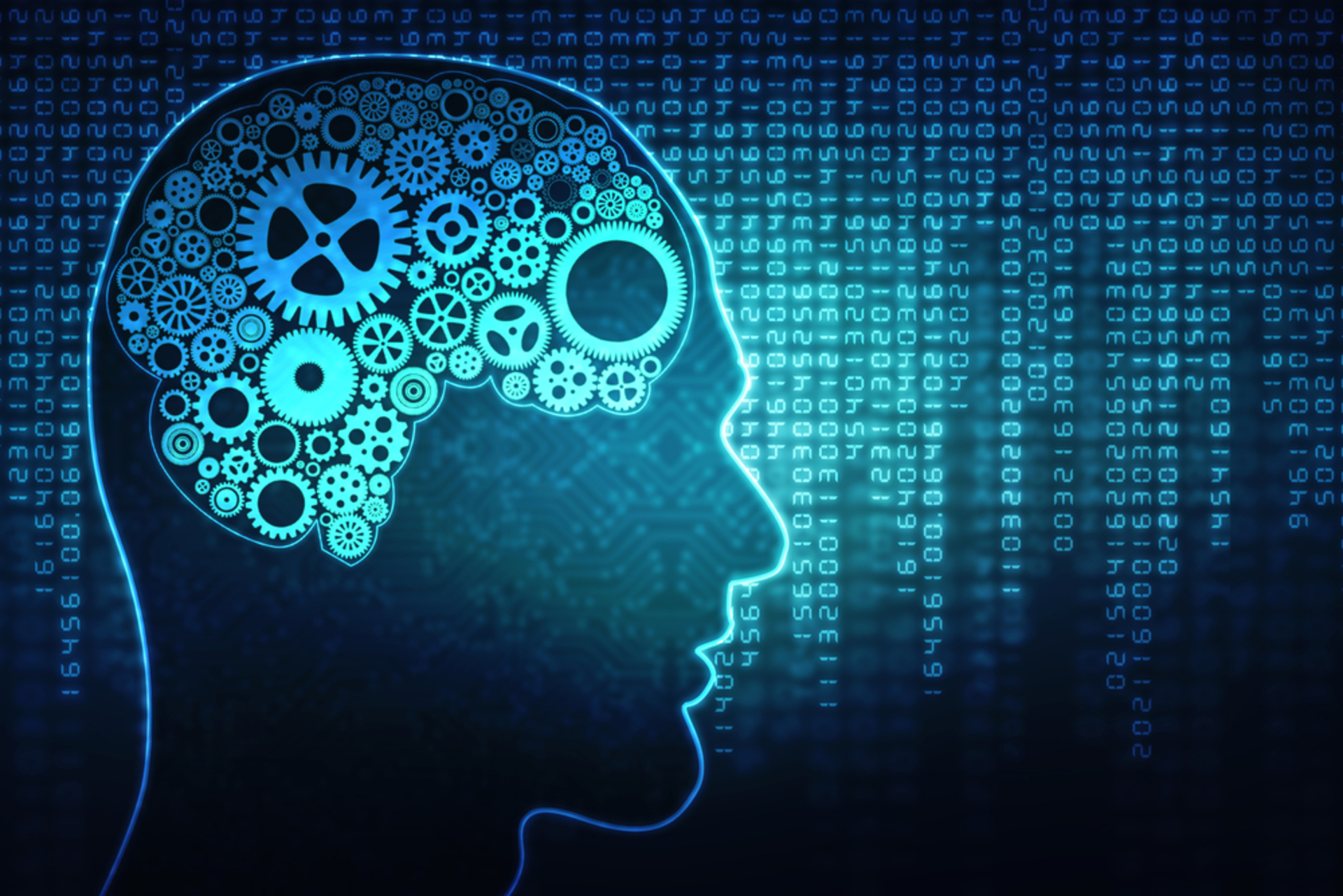 Shutterstock 488112748