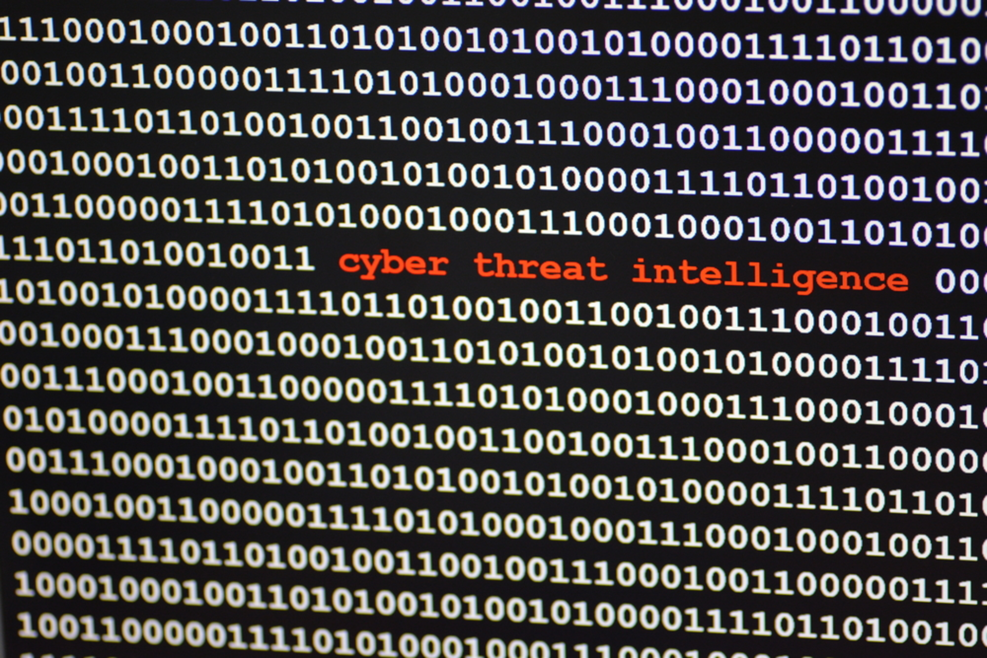 Shutterstock 652587526