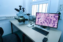 Shutterstock 213953971 Shutterstock 213953971