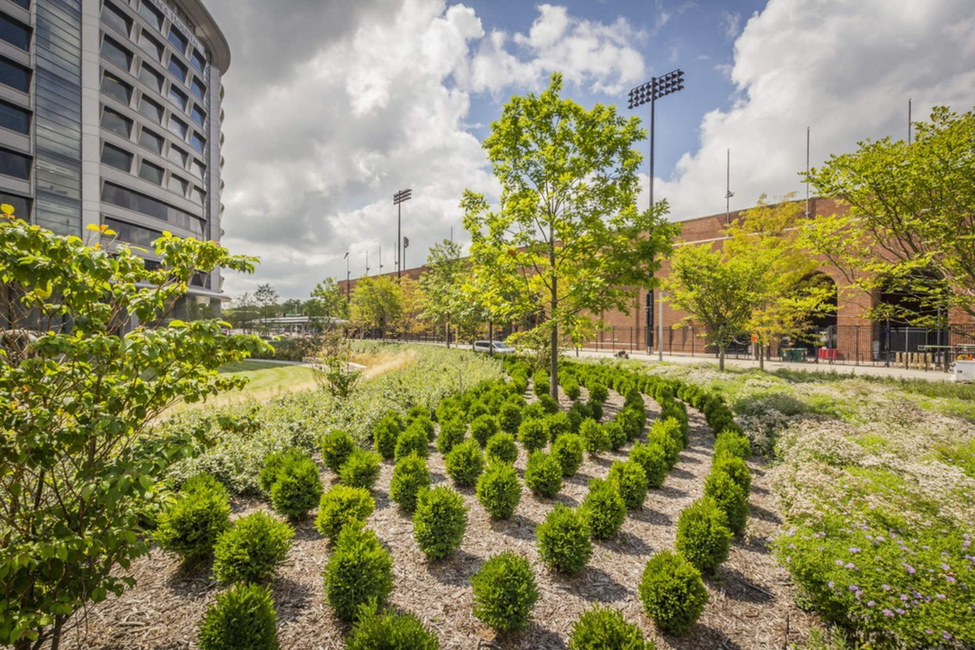 Hospital Landscape Success