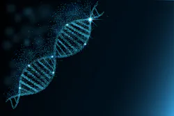 Shutterstock 766093927 Shutterstock 766093927