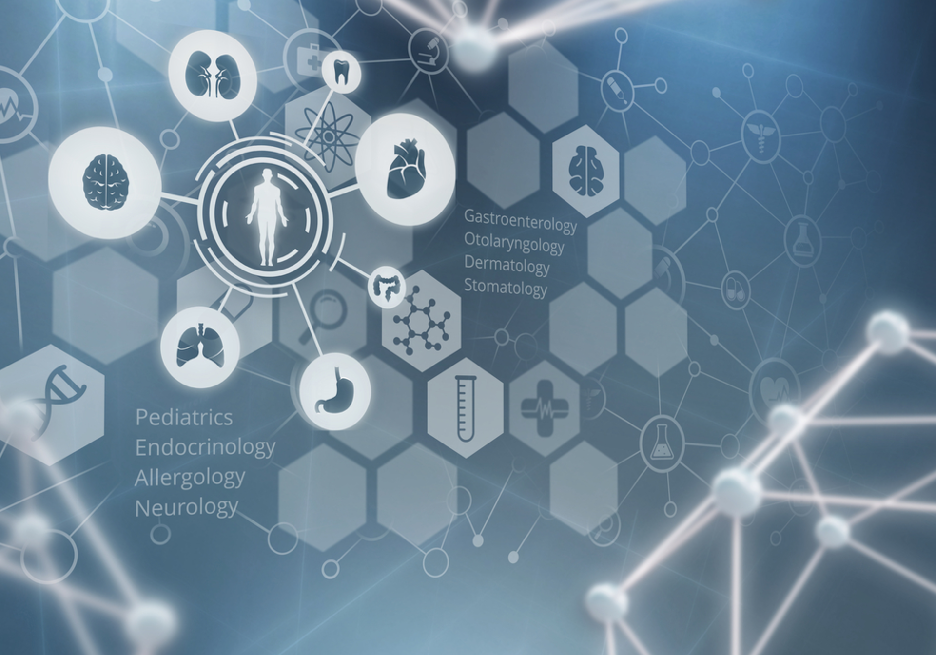 Shutterstock 541281607