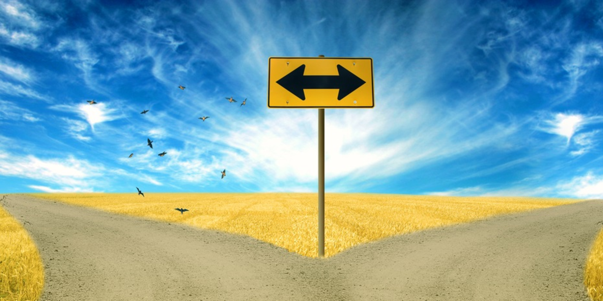 Forinroad Shutterstock 248171203