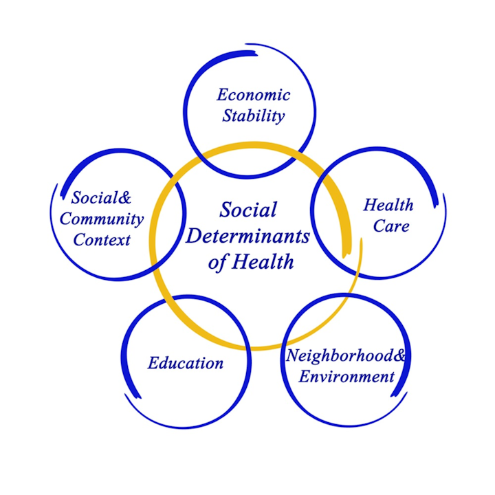 The Value of Deploying a Social Determinants Screening Tool in EHR ...