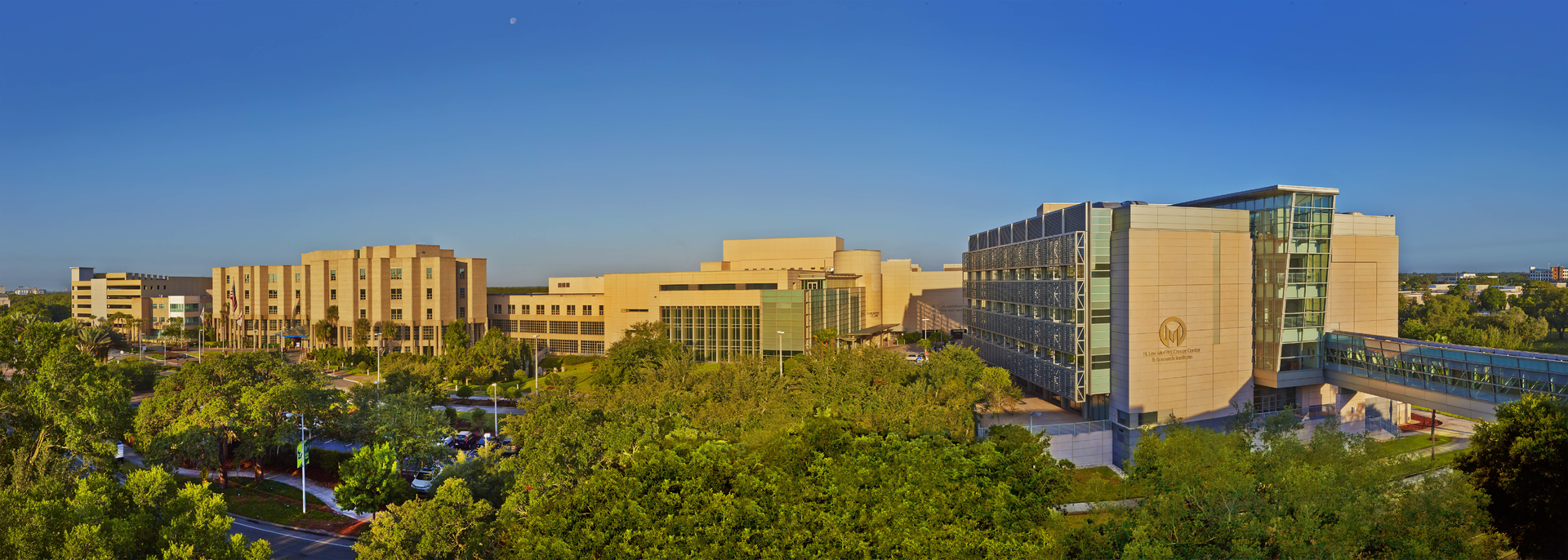 Moffitt Panorama Final