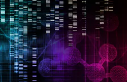 37875367 M 37875367 M