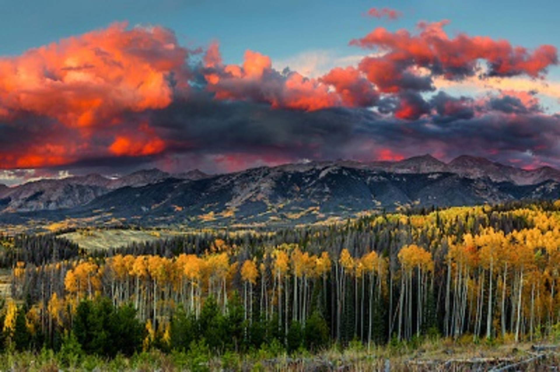 Aspens1
