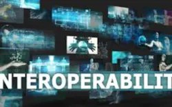 Shutterstock 525394084 Shutterstock 525394084