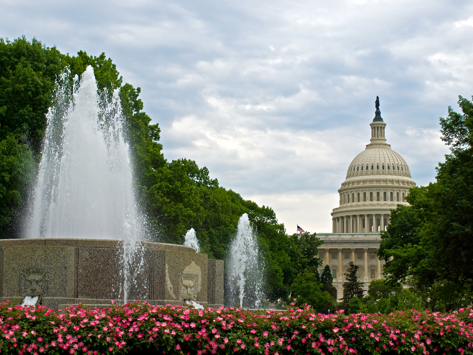 Washington Dc Capitol Bldg & Fountain
