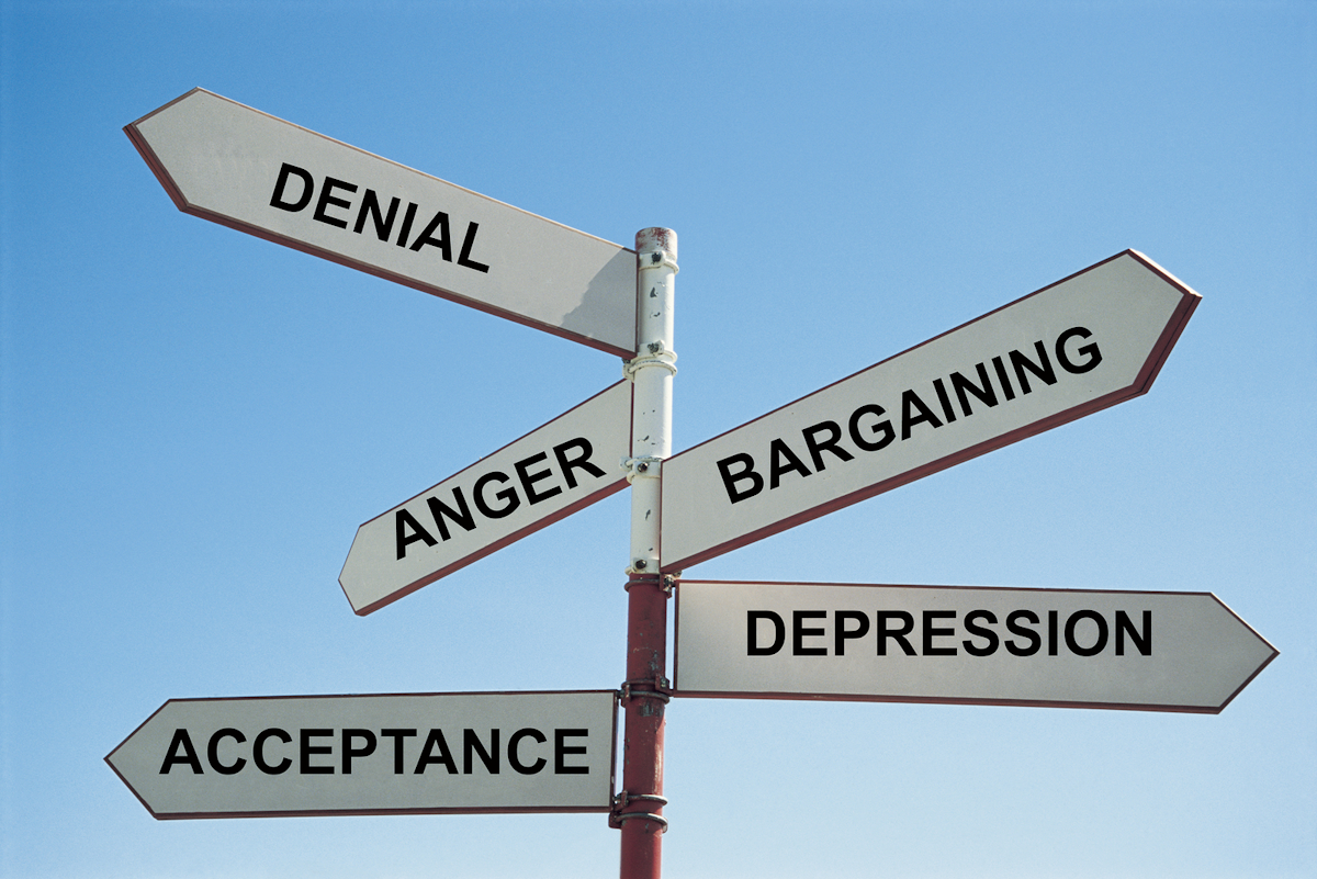 Applying The Seven Stages Of Grief To A Health It Project