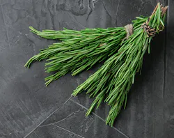 Bigstock Bundle Of Fresh Rosemary On Gr 319536856 5d6ece0d8451a Bigstock Bundle Of Fresh Rosemary On Gr 319536856 5d6ece0d8451a