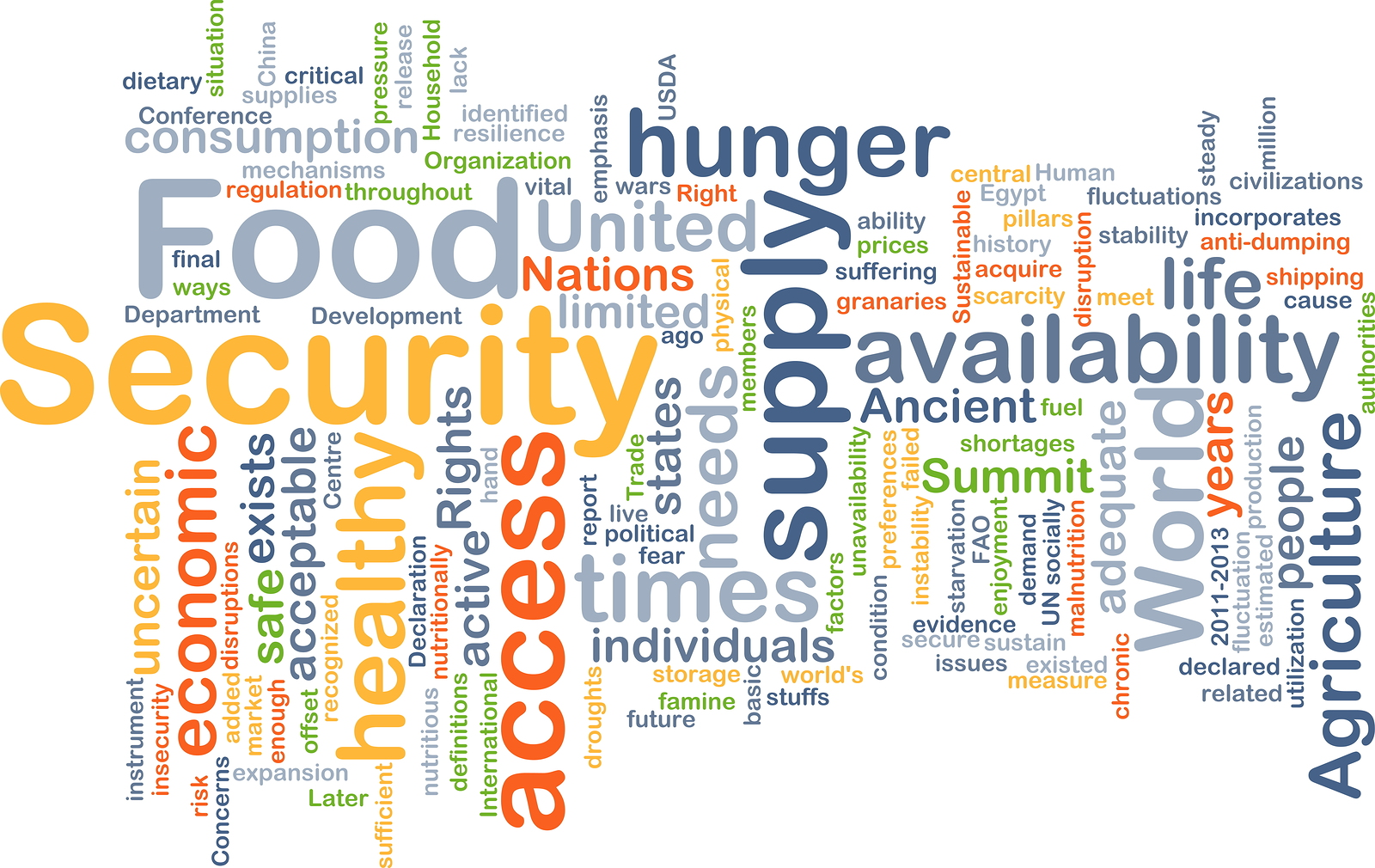 Food Insecurity 5dbc8c7db323b