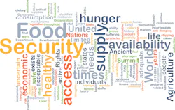 Food Insecurity 5dbc8c7db323b Food Insecurity 5dbc8c7db323b