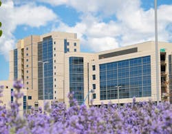 I Med Purple Flowers 5e34a38aead9d I Med Purple Flowers 5e34a38aead9d