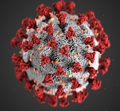 Image Of Covid 19 Virus Full 5e6a8d57f3d3f