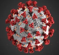 Image Of Covid 19 Virus Full 5e6a8d57f3d3f Image Of Covid 19 Virus Full 5e6a8d57f3d3f