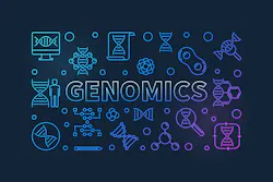 Dreamstime Xl 149868569 5ea8a90bc0df4 Dreamstime Xl 149868569 5ea8a90bc0df4