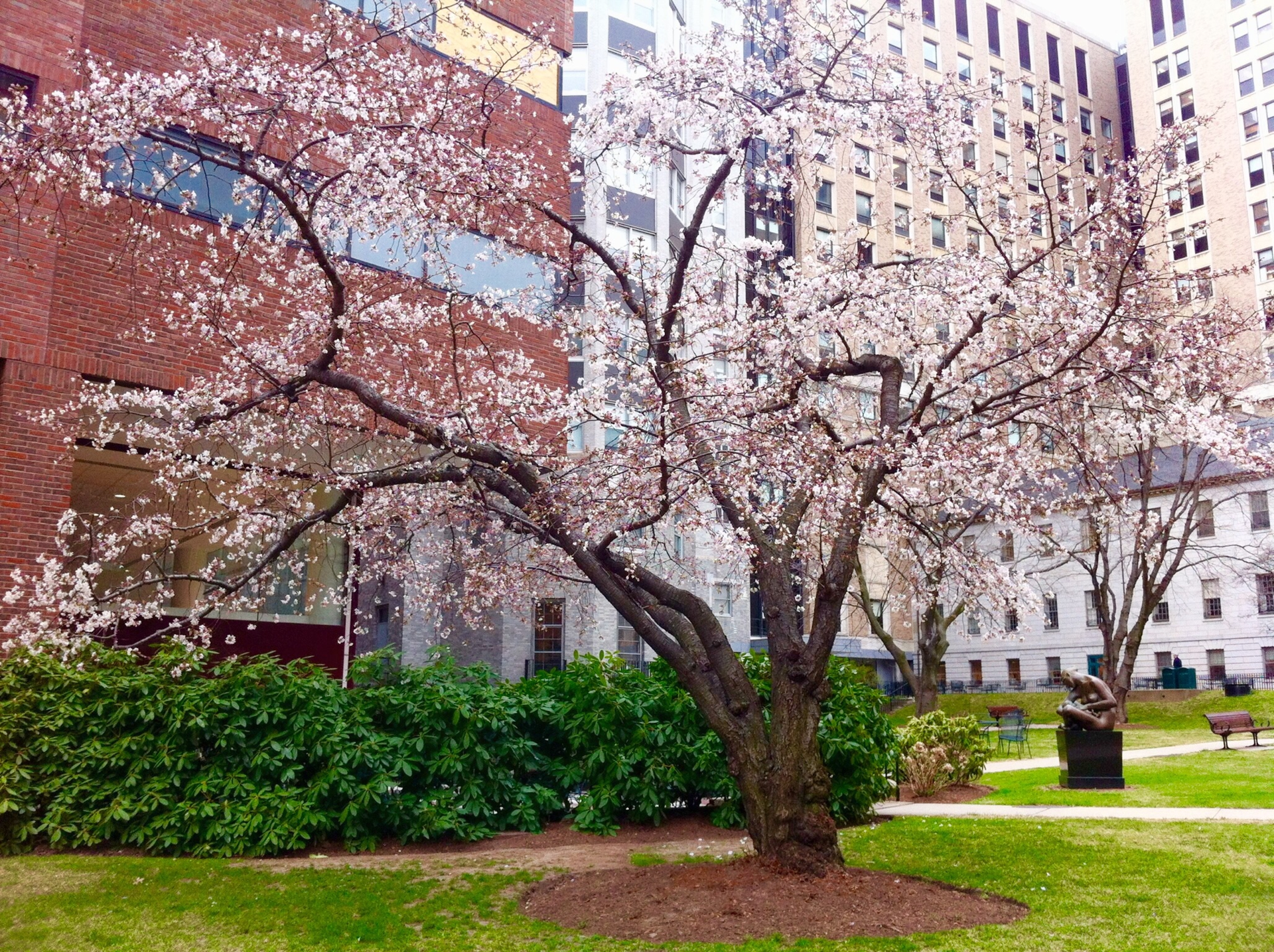 Dreamstime Xl 56923501 5ecfd601f1986