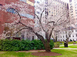 Dreamstime Xl 56923501 5ecfd601f1986 Dreamstime Xl 56923501 5ecfd601f1986