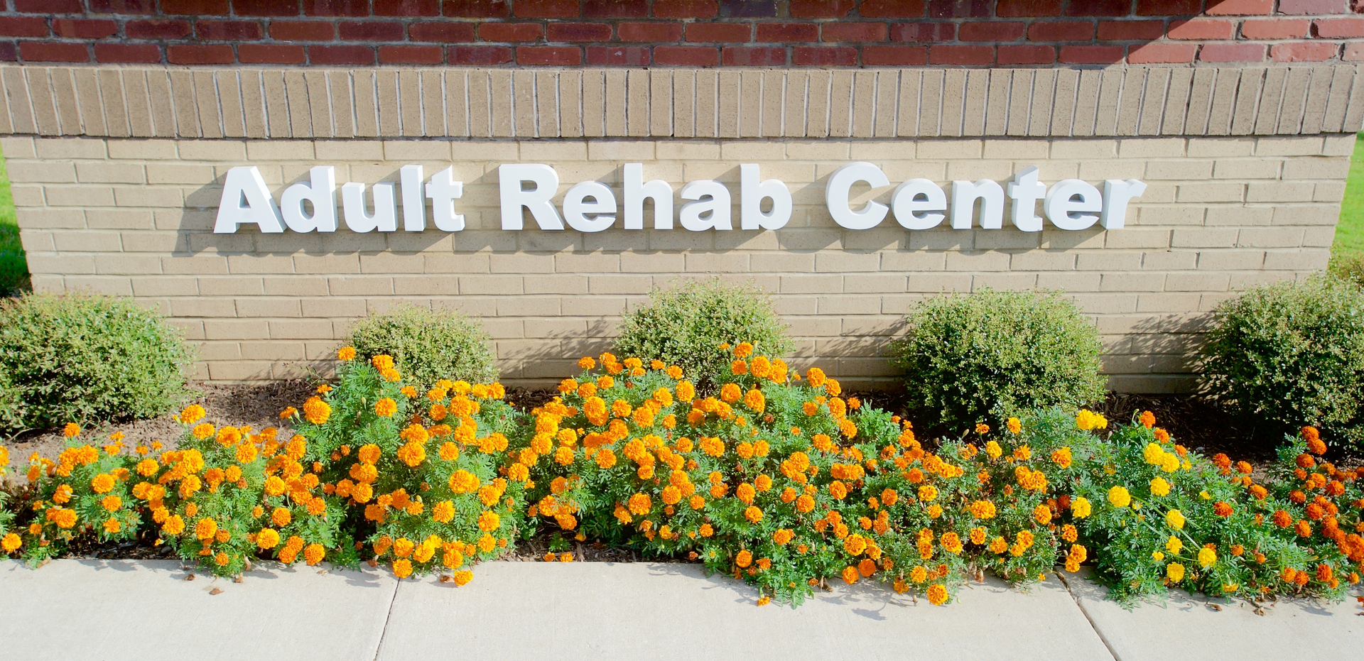 Dreamstime Xl 58547374 5eb9c2cc2f46b