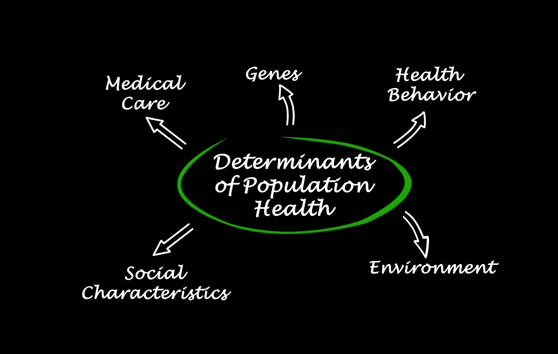 Dreamstime Xl 153377539 5ed50c31a8317