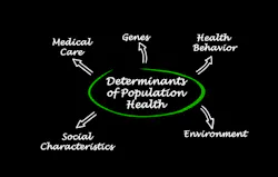 Dreamstime Xl 153377539 5ed50c31a8317 Dreamstime Xl 153377539 5ed50c31a8317