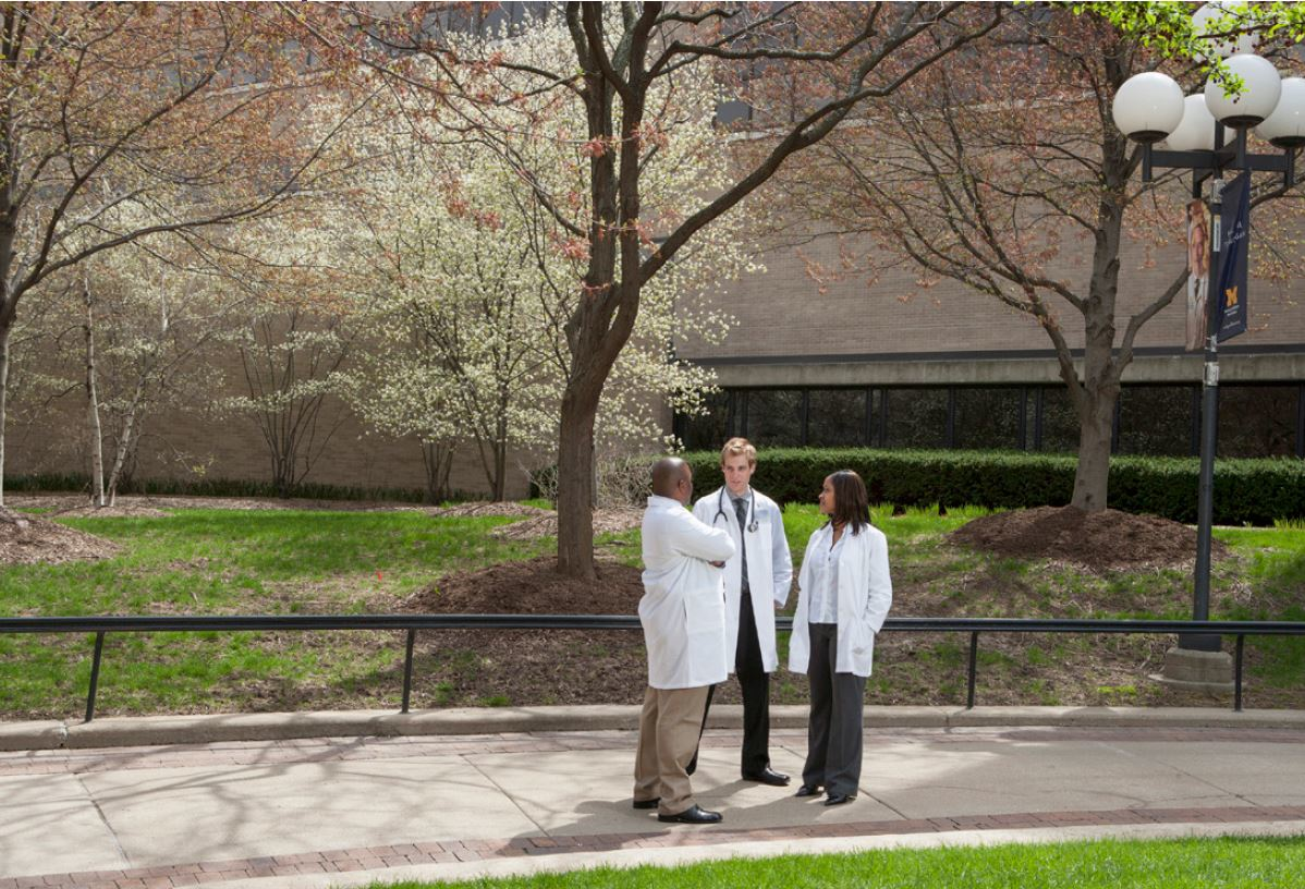 Information Builders Image