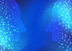 Dreamstime M 147970914 5f064b021dd60 Dreamstime M 147970914 5f064b021dd60