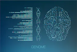 Dreamstime Xl 162367789 5efcbf459ba4a Dreamstime Xl 162367789 5efcbf459ba4a