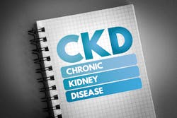 Bigstock Ckd Chronic Kidney Disease A 334529602