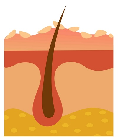 Skin Dermatology1 5f890f5861cd4