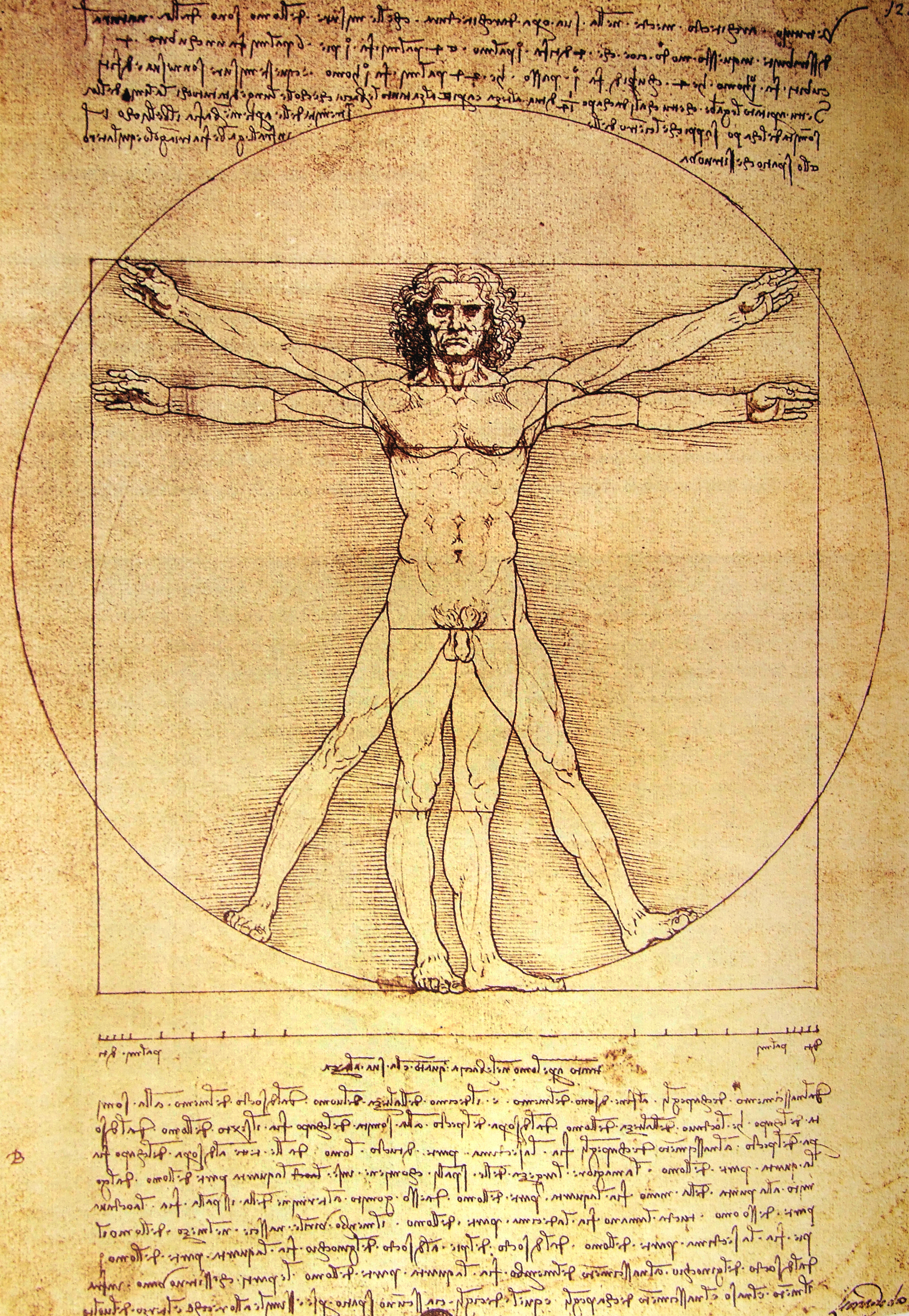 Bigstock Vitruvian Man 6859874 5f7c81c1a5baa