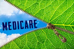 Dreamstime S 130945616 5f7be50da1a9a Dreamstime S 130945616 5f7be50da1a9a