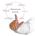 Revenue Cycle Circle