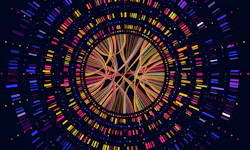 Bigstock Genome Data Genetics Sequence 284558842 60049abc4d2e8 Bigstock Genome Data Genetics Sequence 284558842 60049abc4d2e8