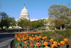 Dreamstime S 6097813 60090daf2d582 Dreamstime S 6097813 60090daf2d582