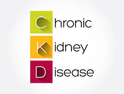 Bigstock Ckd Chronic Kidney Disease A 402766769 604a2e4173708 Bigstock Ckd Chronic Kidney Disease A 402766769 604a2e4173708