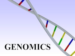 Bigstock D Illustration Of Genomics Sc 378656224 604123bab1427 Bigstock D Illustration Of Genomics Sc 378656224 604123bab1427