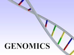 Bigstock D Illustration Of Genomics Sc 378656224