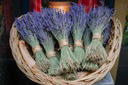 Dreamstime S 41033982 603f250059b4a Dreamstime S 41033982 603f250059b4a