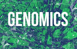 Dreamstime Xl 195542890 60d1f3fc0f826 Dreamstime Xl 195542890 60d1f3fc0f826