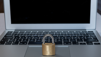 Dreamstime Xl 124881769