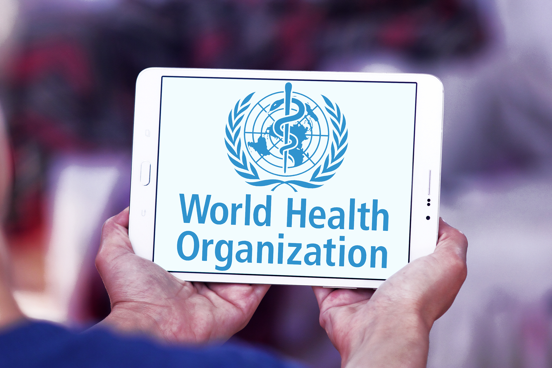 Dreamstime L 99173299 613bb94772b56